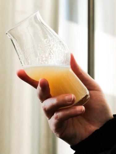 Workshop & Collab Brewing